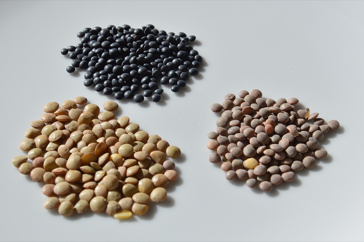 Brown Lentils / Laird Lentils