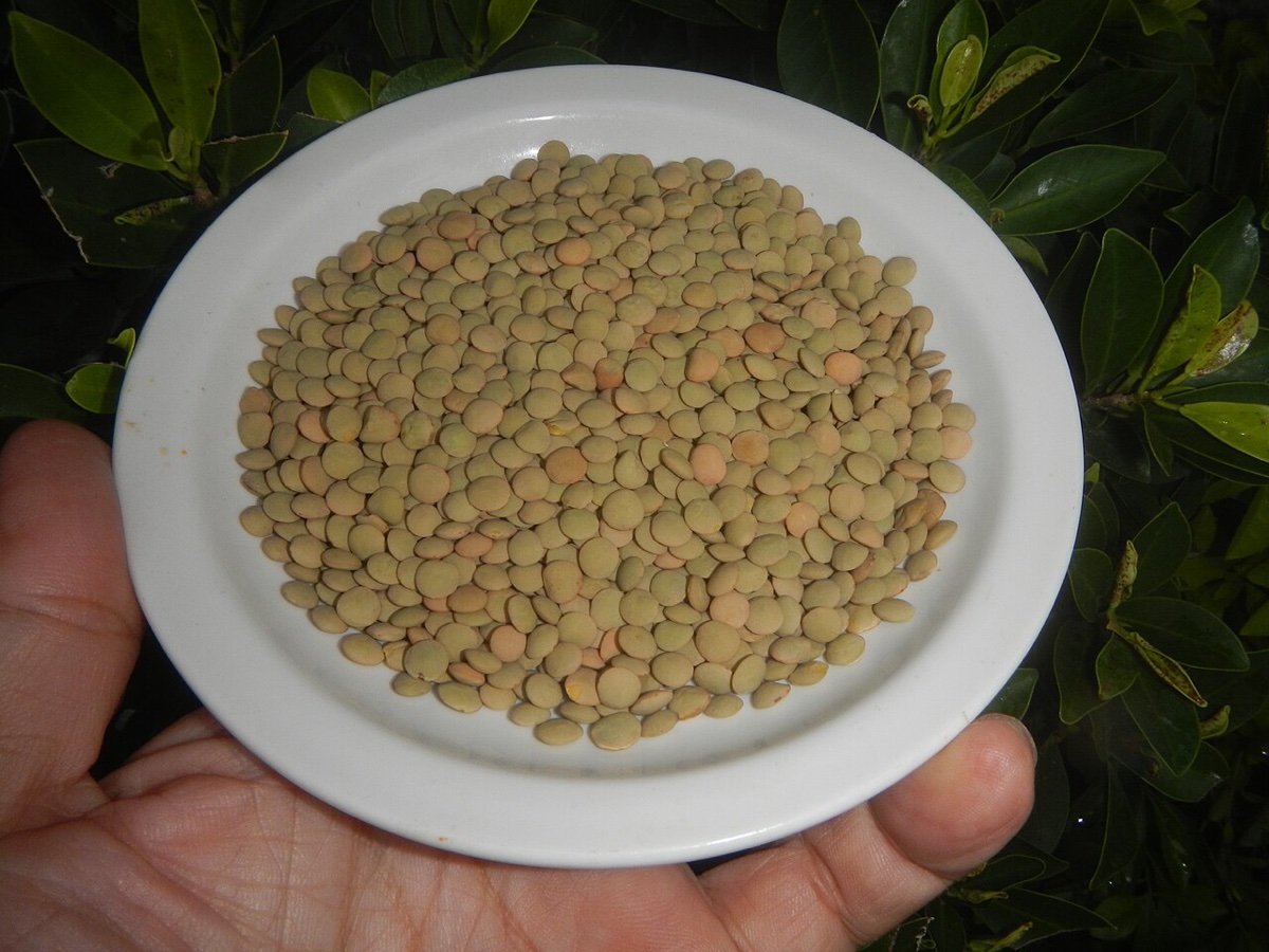 Spiral Organic Lentils (400g)