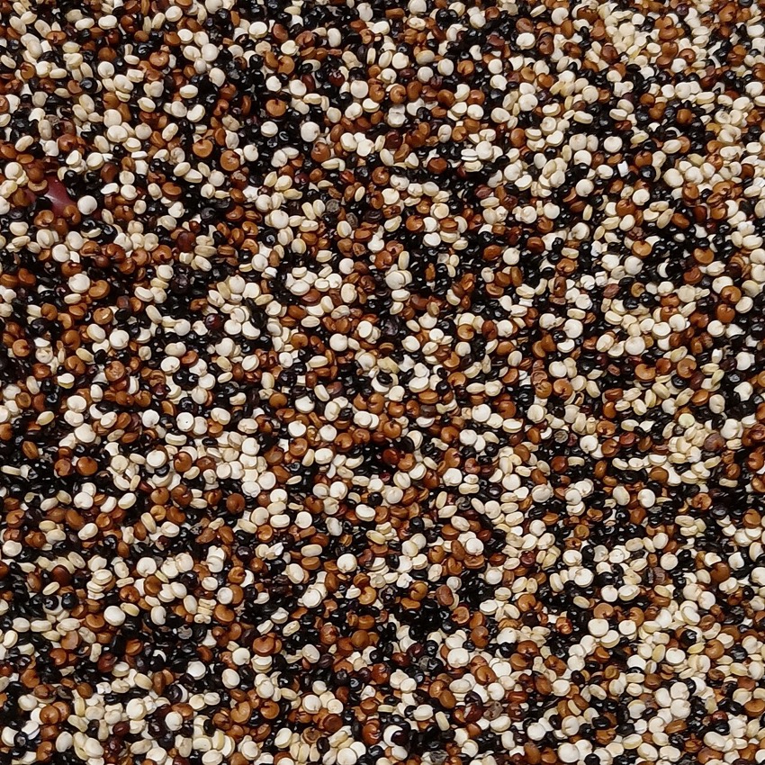 Quinoa – Organic puffed