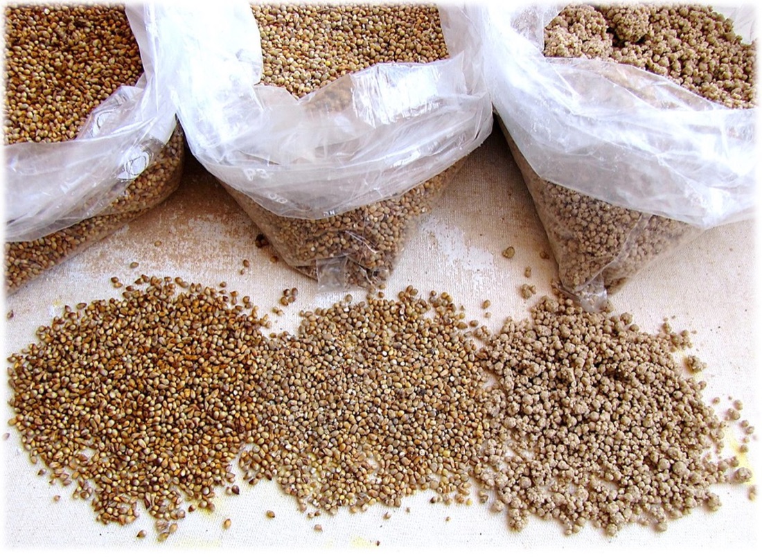 Hulled Millet
