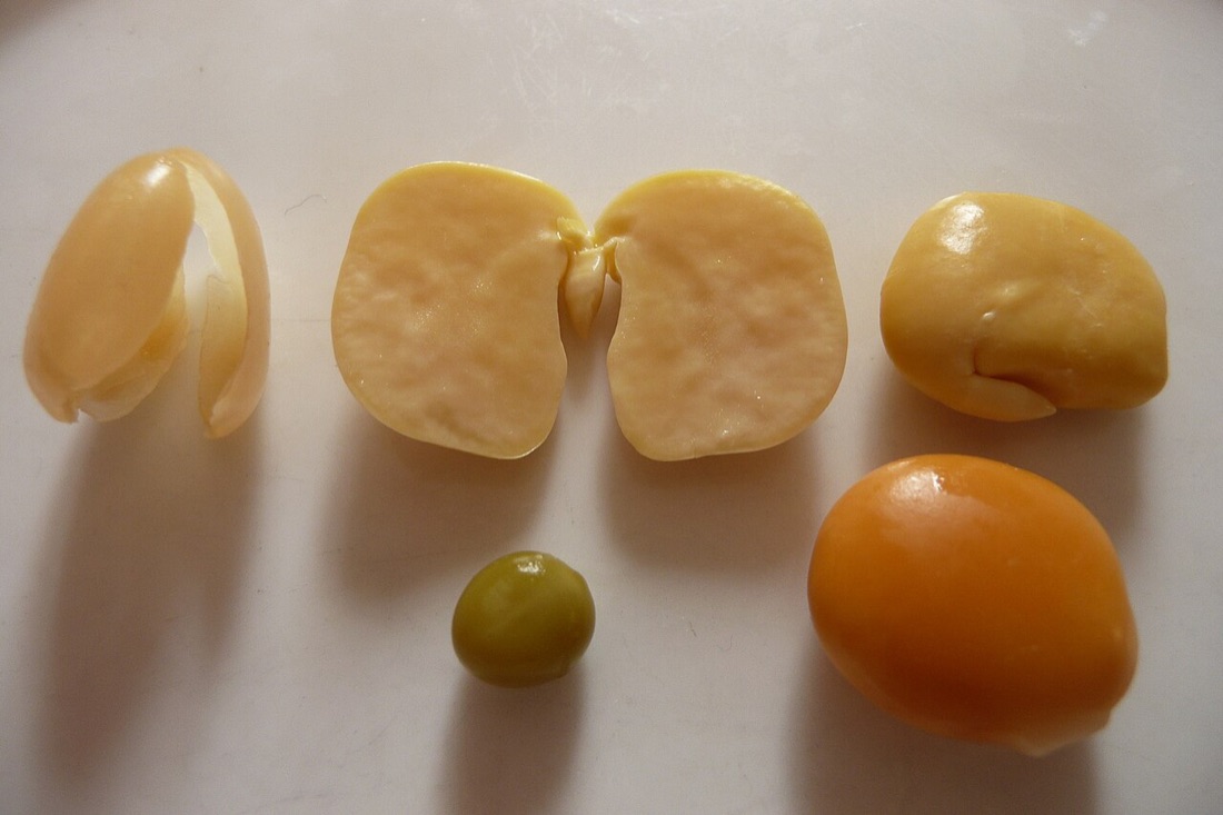 Lupin Flakes