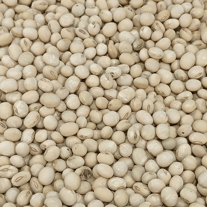 Soya Beans