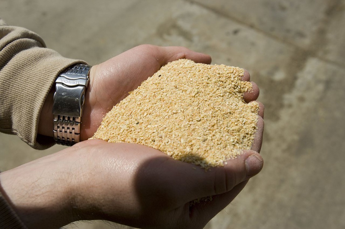 Soya Flour