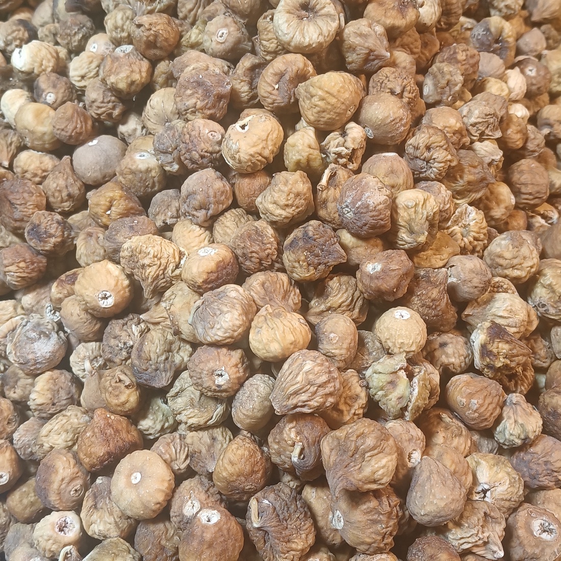 Figs – New Season (Small)