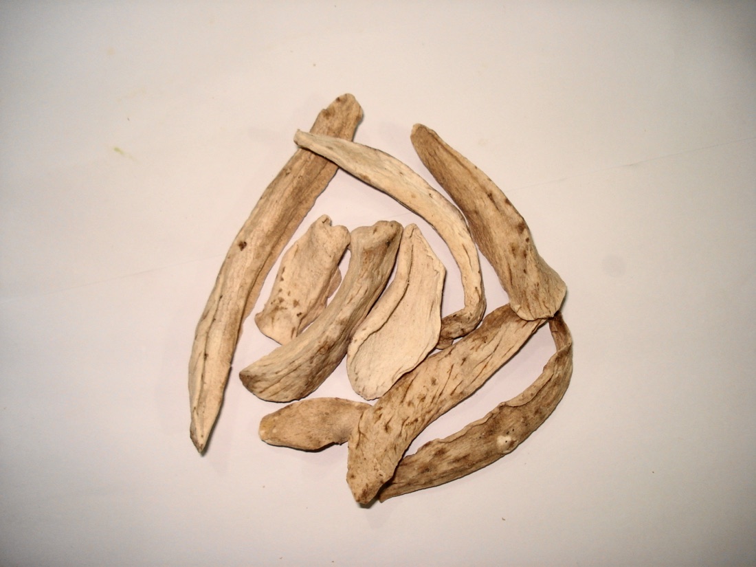 Mango – Dried, Imported