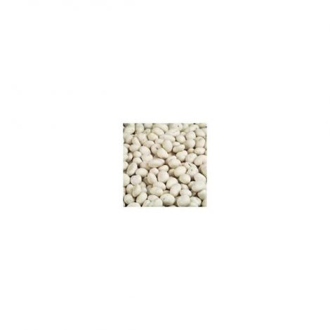 Sultanas – Yoghurt Covered
