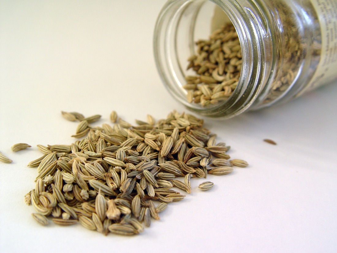 Fennel Seed Powder