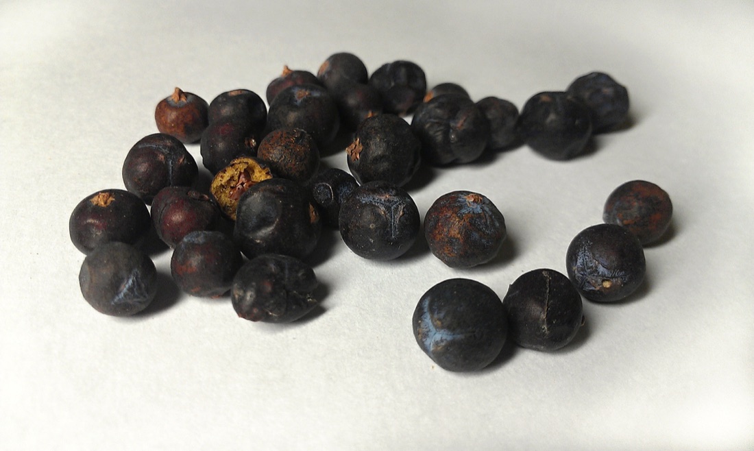 Juniper Berries
