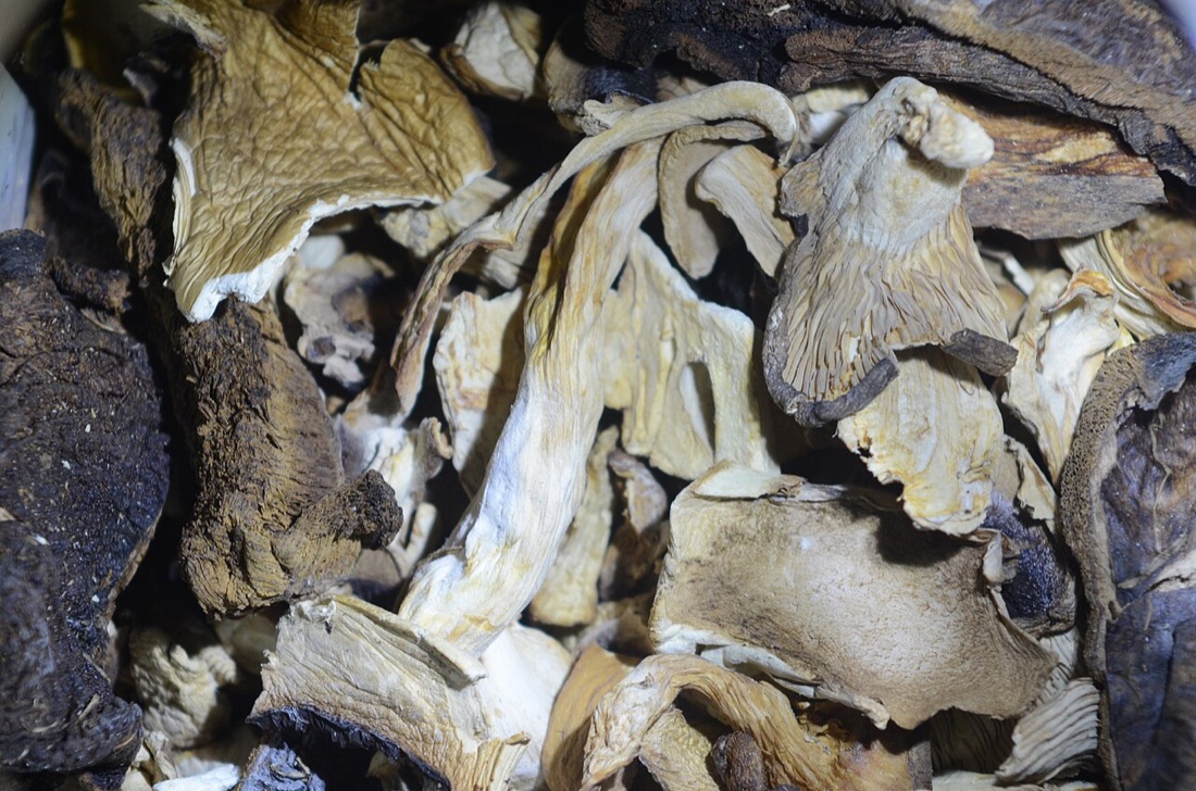 Mushrooms – Dried Mixed Forest (20g)