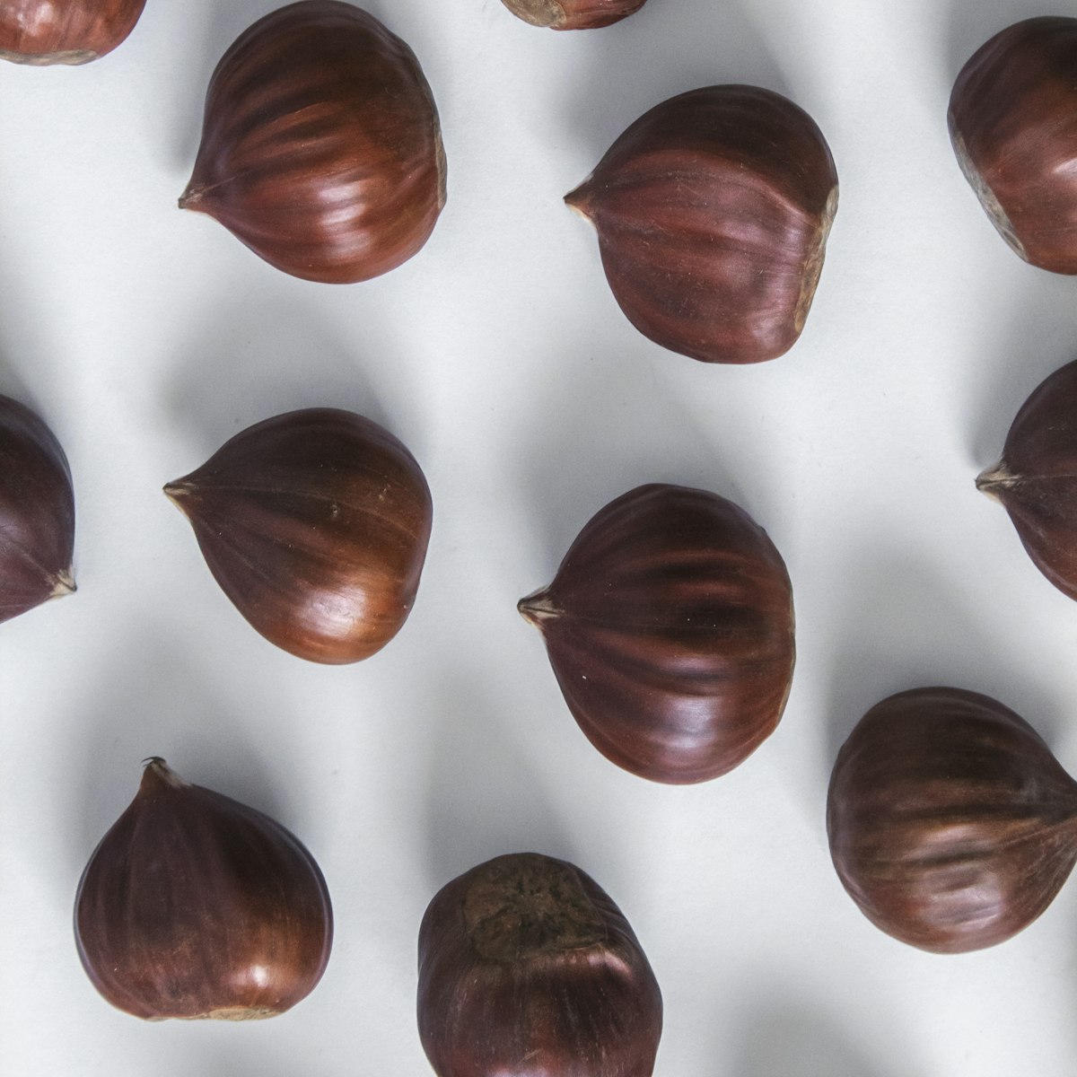 Pine Nuts