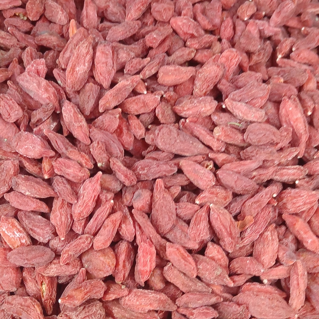 Goji Berries