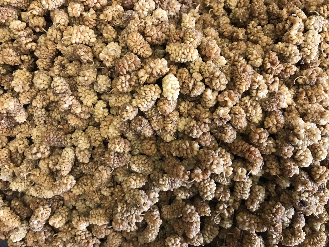 Organic Dried Mulberries