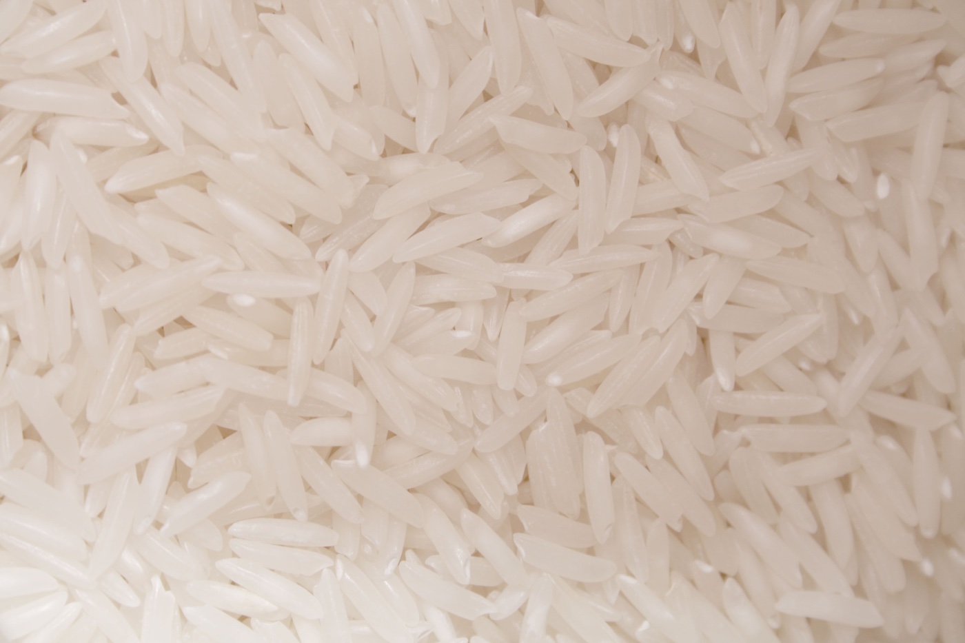 Rice – Organic Jasmine