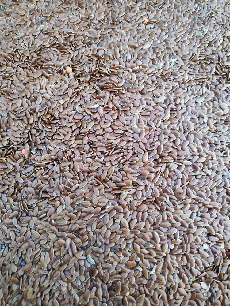 Linseed Meal