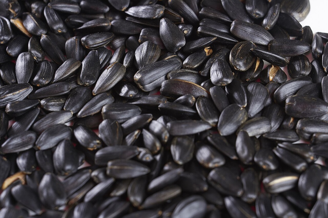 Sunflower Seeds